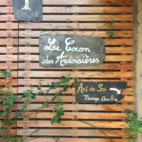 Hêtre Soie – photo de la galerie